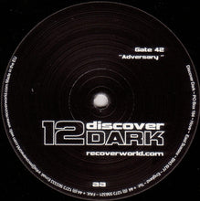 Load image into Gallery viewer, Gate 42 : Danger / Adversary (12")