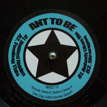 Load image into Gallery viewer, Ant To Be : Untitled Riddim (12", EP, Ltd)