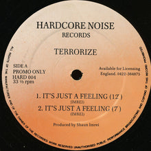 Load image into Gallery viewer, Terrorize : It's Just A Feeling (12", M/Print, Promo)