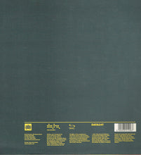 Load image into Gallery viewer, Cosmic Gate : Fire Wire (12", Single)