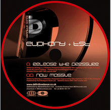 Load image into Gallery viewer, Euphony + TST (2) : Release The Pressure / Now Massive (12")