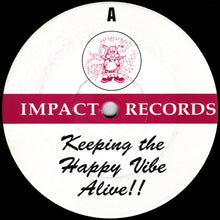 Load image into Gallery viewer, DJ Seduction / Vibes &amp; Wishdokta : Drop The Bass (Vibes And Wishdokta Remix) / Destiny (12")