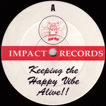 Load image into Gallery viewer, DJ Seduction / Vibes &amp; Wishdokta : So In Love (Vibes &amp; Wishdokta Remix) / Gun 'N' Bass (12")