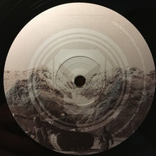 Load image into Gallery viewer, Hybris (5) : Iceworm / Common Ancestor (12")