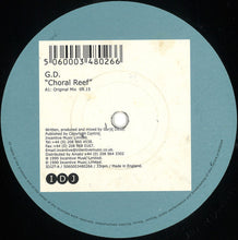 Load image into Gallery viewer, GD : Choral Reef (12")