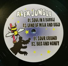 Load image into Gallery viewer, Alex Jungle : Haardtcore (12", EP)