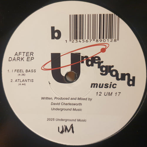 After Dark - After Dark EP - Underground Music Records - 12UM17 - Hardcore - 12" Black Vinyl