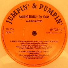 Load image into Gallery viewer, Various : Ambient Senses - The Vision (2xLP, Comp, Ltd, Cle)