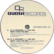 Sy & Unknown Feat Lou Lou (2) : Don't Leave Me Now (12