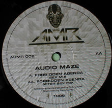 Load image into Gallery viewer, Audio Maze : Forbidden Agenda (12")