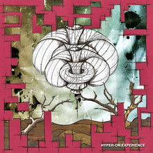 Load image into Gallery viewer, Hyper On Experience : Lord Of The Null Lines Remixes EP (10",45 RPM,EP)