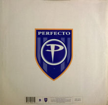 Load image into Gallery viewer, Grace : Not Over Yet (Paul Oakenfold / Dancing Divaz Remixes) (12")