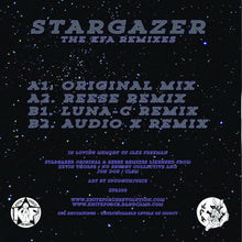 Load image into Gallery viewer, DJ Entity Featuring Amy Cook (2) : Stargazer (The KFA Mixes) (12")