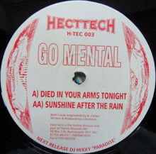 Load image into Gallery viewer, Go Mental : Died In Your Arms Tonight / Sunshine After The Rain (12")