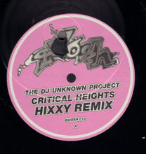 Load image into Gallery viewer, The Unknown Project / Ikon (3) : Critical Heights / Love Somebody Else (Remixes) (12")