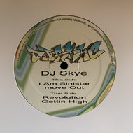 DJ Skye : Spandangle Selection Volume 11 (12
