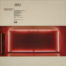Load image into Gallery viewer, Hybrid : Finished Symphony (12")