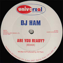 Load image into Gallery viewer, DJ Ham : Is Anybody Out There? / Are You Ready? (Remixes) (12")