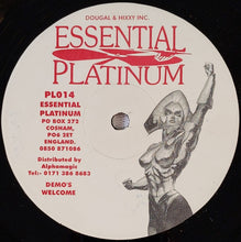 Load image into Gallery viewer, DJ Fade &amp; Heatwave (2) : Sky High / On A High (Remixes) (12", Mono)