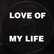 Load image into Gallery viewer, Dr. Who : Love Of My Life (12", S/Sided, Unofficial)