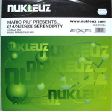Load image into Gallery viewer, Mario Piu'* Presents DJ Arabesque : Serendipity (12")