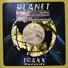 Load image into Gallery viewer, Dave Joy : Third Pleasure (Remixes) (12")