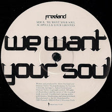 Load image into Gallery viewer, Adam Freeland : We Want Your Soul (12")