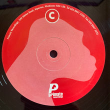 Load image into Gallery viewer, Mauro Picotto &amp; Riccardo Ferri : Alchemist E.P. (2x12", EP, RP)