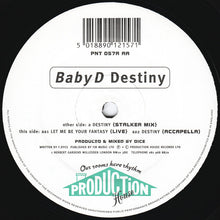 Load image into Gallery viewer, Baby D : Destiny (12")