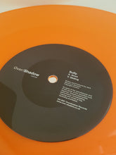 Load image into Gallery viewer, Sully (5) : 5ives / Sliding (12", RP, Ora)