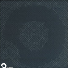 Load image into Gallery viewer, Sully (5) : 5ives / Sliding (12", RP, Ora)