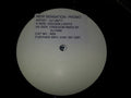 DJ Unity : Golden Lights / Freedom (12", Promo, W/Lbl)