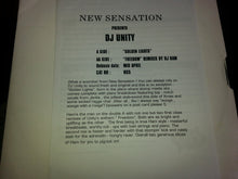 Load image into Gallery viewer, DJ Unity : Golden Lights / Freedom (12", Promo, W/Lbl)