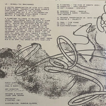 Load image into Gallery viewer, Various : Byakku​-​Tai Braindance (2x12", Comp)