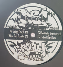 Load image into Gallery viewer, DS1 (2) : The Bully Parade EP (12", Ltd)