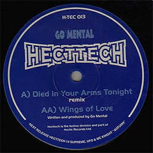Load image into Gallery viewer, Go Mental : Died In Your Arms Tonight (Remix) / Wings Of Love (12")