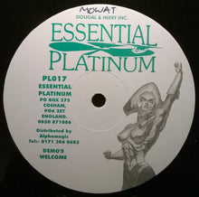 Load image into Gallery viewer, DJ Druid &amp; Bananaman : Tweedle Dum / Disco Fever (12")