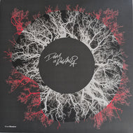 Dom & Roland : Fever Nights / Stingray (12