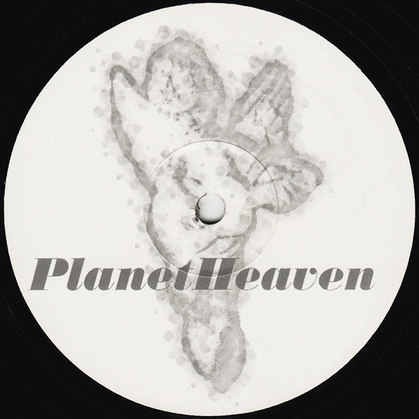 Planet Heaven - The Outa Sea EP - Delicious Grooves - 12DG003 - 12" - Vinyl -  Very Good Plus (VG+)