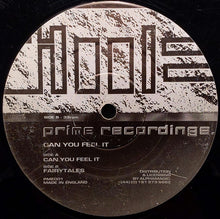 Load image into Gallery viewer, Vinylgroover &amp; Trixxy : Can You Feel It (12")