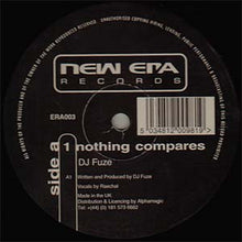 Load image into Gallery viewer, DJ Fuze / DJ Stompy Featuring DJ Fuze : Nothing Compares / Together In Harmony (12")