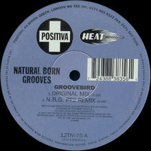 Load image into Gallery viewer, Natural Born Grooves : Groovebird (12",33 ⅓ RPM)