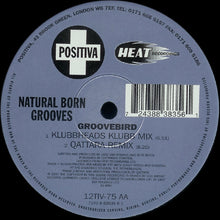 Load image into Gallery viewer, Natural Born Grooves : Groovebird (12",33 ⅓ RPM)