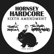 Load image into Gallery viewer, Hornsey Hardcore : Sixth Amendment  (12", EP)