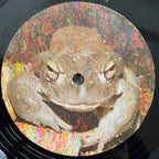 Bald Headed Dred : The Dred Knought (12", RE, RM)