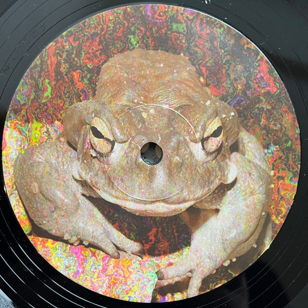 Bald Headed Dred : The Dred Knought (12", RE, RM)