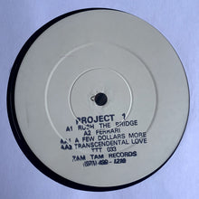 Load image into Gallery viewer, Project One : Project 1 EP (12", Promo, W/Lbl)