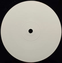 Load image into Gallery viewer, Various : DJ Nation Summer Edition Disc 2 (12",33 ⅓ RPM,45 RPM,Promo,White Label)