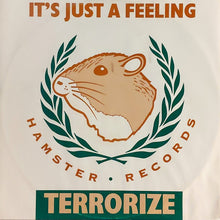 Load image into Gallery viewer, Terrorize : It's Just A Feeling (12")