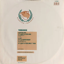 Load image into Gallery viewer, Terrorize : It's Just A Feeling (12")